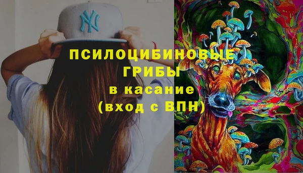 мяу мяу мука Горняк