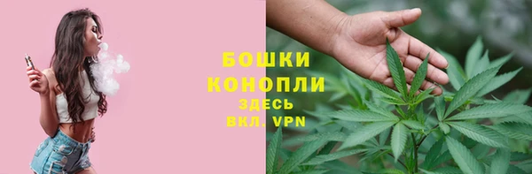 бошки Гусев